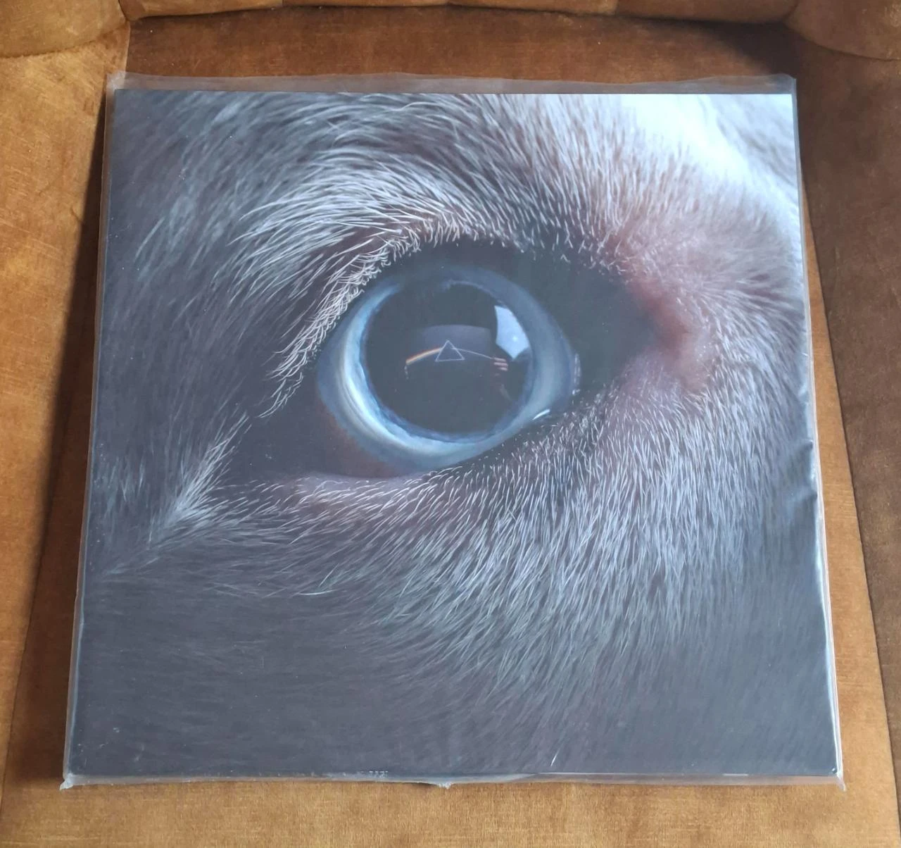 Double LP Roger Waters – The Dark Side Of The Moon Redux – photo 5